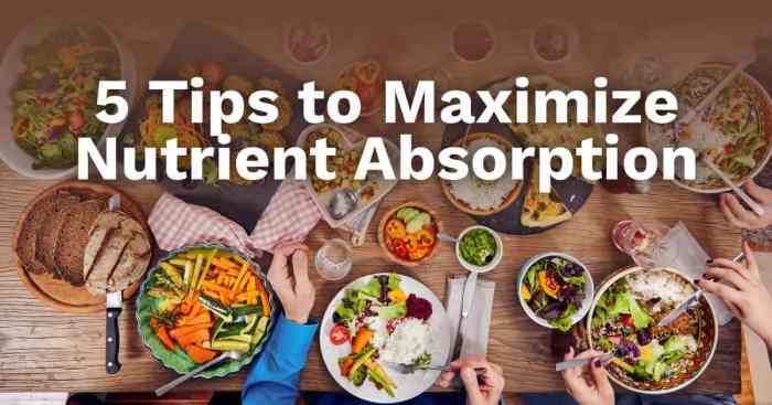 How to enhance nutrient absorption from foods